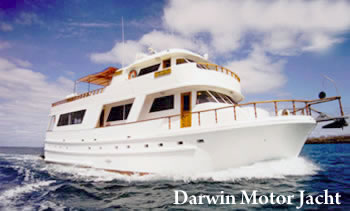 Jacht Darwin Galapagos Schiffe Galapagos Kreuzfahrt